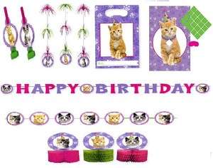 NEW Cat Kitten Purple Pink Birthday Party Decorations + FREE US 