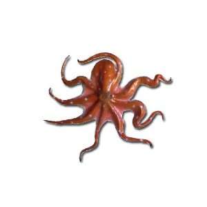    32 Octopus Half Mount Fish Replica   Taxidermy