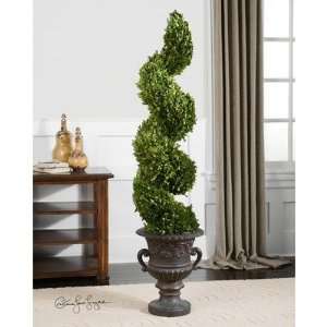  PRESERVED BOXWOOD SPIRAL TOPIARY