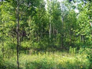 LAND FOR SALE BY OWNER, GRAND LAKE, WATER ACCESS LAND   