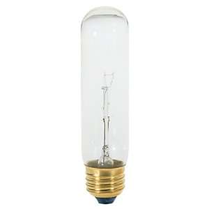   S3896 120V 60 Watt T10 Medium Base Light Bulb, Clear