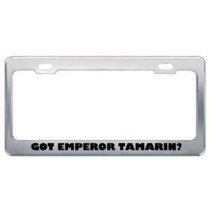 Got Emperor Tamarin? Animals Pets Metal License Plate Frame Holder 