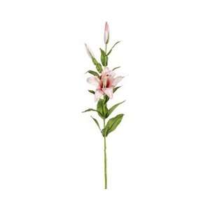  32 Tiger Lily Spray Pink (Pack of 12)
