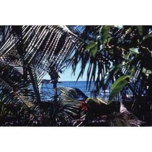  Exclusive By Buyenlarge Hawaii 12x18 Giclee on canvas 