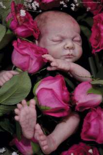   Rosebud by Cindy Musgrove New Reborn Kit to make a Sweet baby  