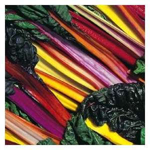  Swiss Chard Bright Lights Vegetable Seeds Patio, Lawn 