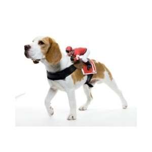  Paper Magic Group 6859561PM Dog Riders Jockey Dog Harness 
