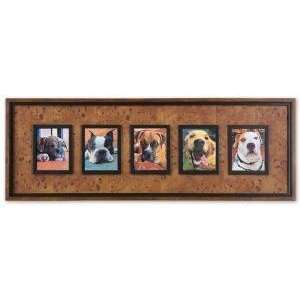  Uttermost Colorful Dogs Wall Art