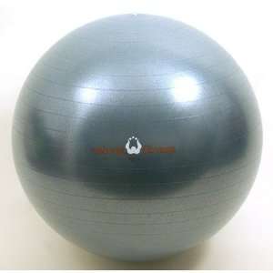  Natural Fitness Burst Resistant Exercise Ball in Slate 