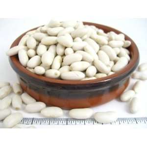 Cannellini Beans (1 pound) (Pack of 4)  Grocery & Gourmet 