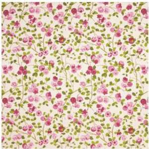  Stout SCAMP 1 SPRING Fabric 