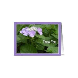 Hydrangea   Sister Thank You for Caring for Older Parents   Thank You 