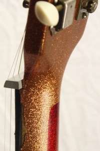  Dobro Spider Resonator Gold Sparkle Finish Acoustic Guitar  