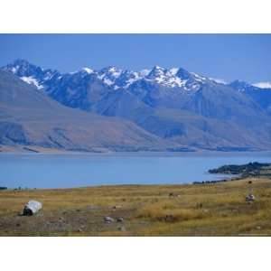 Lake Pukaki, Southern Alps, Canterbury, South Island, New Zealand 