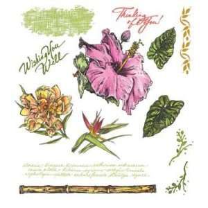  See Ds Tropicals Unmounted Rubber Stamps 50018