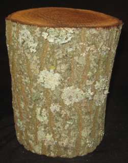 Chinaberry Wood Log Turning Blank Lathe 6 1/2 7 1/2 x 9 1/2  