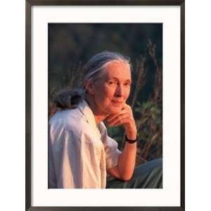  Jane Goodall, Gombe National Park, Tanzania People Framed 
