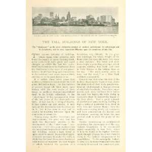  1898 Skyscrapers of New York City illustrated Everything 