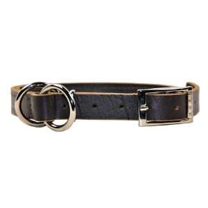  Dean & Tyler Strictly Business 2 In 1 Leather Dog Choke 