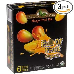Natural Choice Foods Organic Frozen Mango Fruit Bars,6 Count, 16.5 
