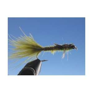  Whitlocks Damsel Olive