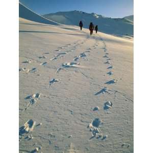  Hiking Across the Snow Swept Volcanic Landscape of Iceland 