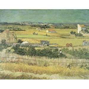 Harvest at La Crau by Vincent Van Gogh 20x16  Kitchen 