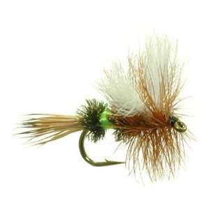 Royal Wulff Lime Dry Fly   3 Flies 