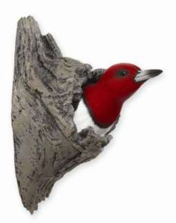 Red headed Woodpecker by Loon Lake Decoy Company  