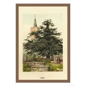  The Yew Giclee Poster Print by W.h.j. Boot, 24x32