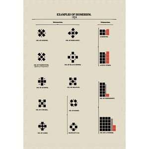  Examples of Isomerism   12x18 Framed Print in Gold Frame 