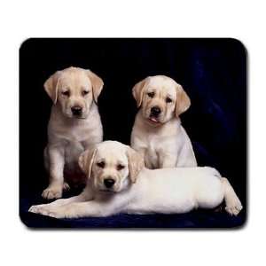  Cute puppies labs Large Mousepad mouse pad Great Gift Idea 