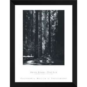  Ansel Adams FRAMED 28x36 Redwoods, Founders Grove