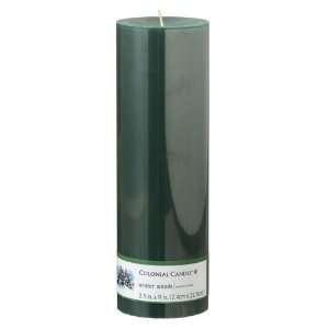    Colonial Candle Winter Woods 3 x 9 Scented Pillar