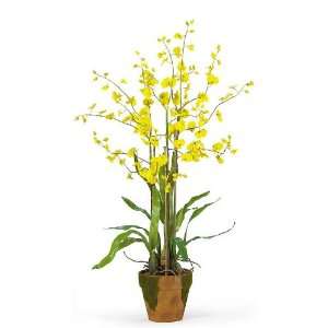  Dancing Lady Silk Orchid Arrangement w/Moss Pot