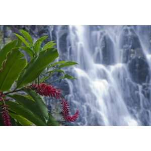 Kepirohi Waterfall, Pohnpei, Federated States of Micronesia by Michele 