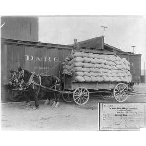  Horse drawn wagon loaded with 175 sacks of wheat beside freight car 