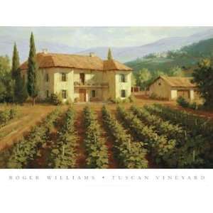  Roger Williams   Tuscan Vineyard Canvas