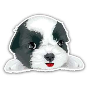  White and Black Cute Dog Pitbull Pit Bull Puppy Car Bumper 