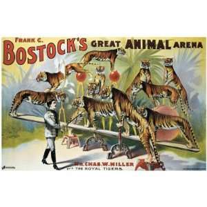  Bostocks Great Animal Arena Giclee Poster Print, 36x24 