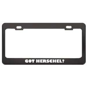 Got Herschel? Boy Name Black Metal License Plate Frame Holder Border 