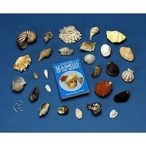 Mollusk Shell Collection, Deluxe  Industrial & Scientific