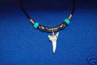 Maleko ll Shark Tooth Necklace  