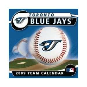  TORONTO BLUE JAYS 2009 MLB Daily Desk 5 x 5 BOX CALENDAR 