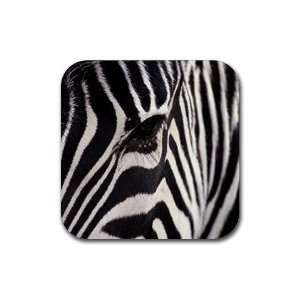  Zebra Rubber Square Coaster set (4 pack) Great Gift Idea 