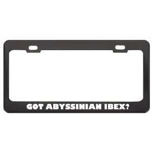 Got Abyssinian Ibex? Animals Pets Black Metal License Plate Frame 