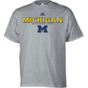   Michigan Wolverines Grey adidas Impervious T Shirt