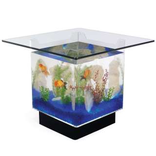 Lighted Filtered AQUARIUM COFFEE TABLE Beveled Tempered Glass Top 