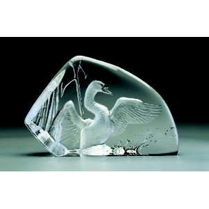   Swan Hand Etched Crystal Sculpture by Mats Jonasson