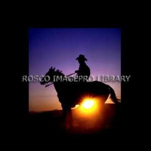  Rosco iPro Slide Cowboy P8855 Electronics